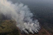 Sedem držav sklenilo pakt za zaščito Amazonije