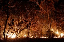 Gasilci se v bližini Aten borijo z obsežnim požarom