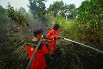 Indonezija se bori z obsežnimi gozdnimi požari