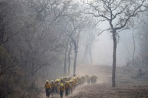 V Amazoniji v zadnjih dneh požare gasil tudi dež