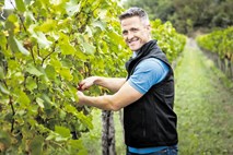 Ralf Schumacher obiral slovensko grozdje