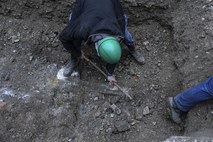 Hrvaški arheologi odkrili rimsko vprego iz 3. stoletja