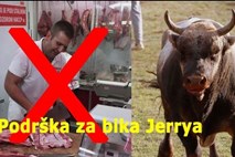V Dalmaciji iščejo bika Jerryja, ki je pobegnil iz klavnice