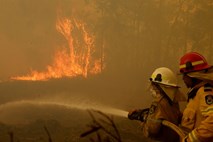 #video Požari v Avstraliji terjali smrtne žrtve, uničenih prek 150 domov