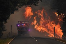 Avstralija se pripravlja na katastrofo zaradi požarov
