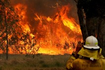V Avstraliji narašča število žrtev požarov, prijeli domnevnega požigalca