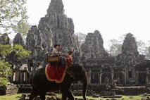 Kambodža v prepoved jahanja slonov na območju templjev Angkor