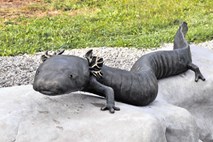 Črni človeški ribici že druga skulptura