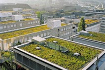 Zelene strehe so zakon