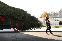 #foto Melania Trump sprejela v dar božično drevo Bele hiše
