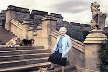Kraljica Elizabeta in njenih 30 psov