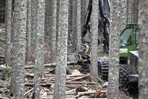 Gozdarji Zavoda za gozdove Slovenije so zadnji trenutek dobili umetno dihanje