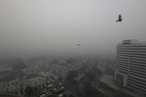 New Delhi drhti v rekordnem mrazu in gosti megli
