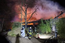 Vzrok požara v nemškem živalskem vrtu  novoletni lampijoni