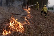 Razmere zaradi požarov v Avstraliji še naprej katastrofalne 