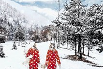 Instant zvezde: Katarina Benček v pižami na sneg, Jan Plestenjak bolan, Borut Pahor voščil za novo leto vsem sanjačem