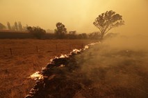 Požari še naprej ogrožajo avstralsko prestolnico
