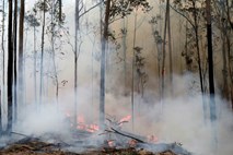  Požari prizadeli 75 odstotkov Avstralcev