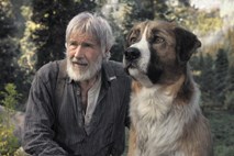 Recenzija filma Klic divjine: Presneti umetni psi