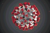 Našli celice, ki jih novi koronavirus najraje napade