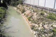 S čim je onesnažen kanal na Cesti v Gorice?