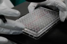 Na Kemijskem inštitutu že začeli testiranje cepiva proti covidu-19 na miših