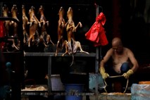 Na Kitajskem prepovedali trgovanje z divjimi živalmi, ki so ga prej podpirali s subvencijami