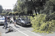 Na Jamovi cesti v Ljubljani se je drevo zrušilo na mimo vozeči avtomobil
