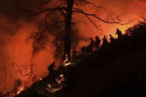 Skoraj 2000 gasilcev na jugu Francije krotilo obsežen požar