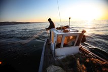 Visoko sodišče v Zagrebu slovenskega ribiča oprostilo nezakonitega ribolova