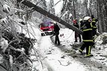 Slovenija po 120 milijonov evrov za zaščito in reševanje