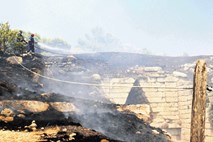 Gozdni požar prizanesel pomembnemu arheološkemu najdišču Mikene