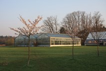 Botanični vrt v pričakovanju zime: velika zbirka rastlin kmalu brez doma
