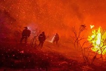 V Kaliforniji pogorelo že skoraj 810.000 hektarjev površin