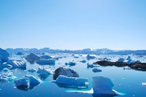 Grenlandski ledeni pokrov manjši še za 110 kvadratnih kilometrov