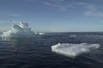 Prebujenje »spečih velikanov«: z delov Arktike se sprošča nevaren metan