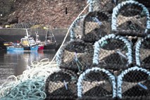 Brexitsko “klanje” britanskega ribolova