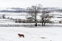 #foto Snežne nevihte in mraz bičajo zahodno Evropo, ponekod razglašen rdeči alarm