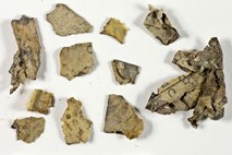 Izraelski arheologi odkrili 2000 let stare fragmente Biblije