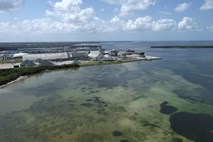 Oblasti na Floridi zaradi izlitja strupenih odpadnih voda razglasile izredne razmere