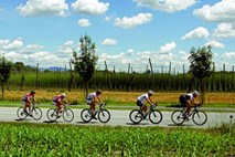 Prireditelji potrdili letošnjo kolesarsko dirko po Sloveniji