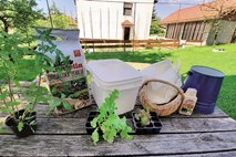 Plantellini vrtnarski nasveti: zelenjava na balkonu