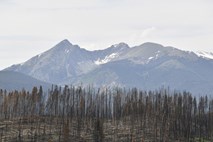 V Kanadi pustoši več kot 170 gozdnih požarov