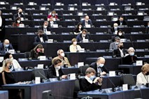 Strasbourg primazal zaušnico Janševi vladi