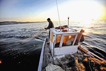 Slovenski ribiči presenečeni: O ribolovu do Umaga ne vemo nič!