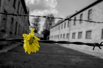 Ob svetovnem dnevu holokavsta slovesnosti v Sloveniji in po svetu