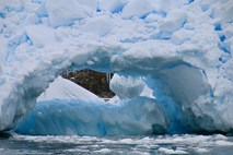 Na Antarktiki rekordne visoke temperature