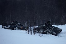 Finska in Švedska se spogledujeta z Natom