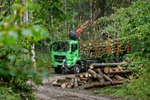 Nadzorniki razrešili troglavo vodstvo državnega gozdarskega podjetja SiDG