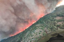 Divjanje požara na Krasu: pred gasilci pestra noč, evakuirani prebivalci so se vrnili domov